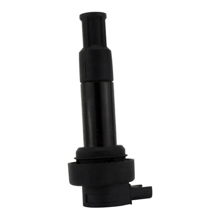 IGN STICK COIL BMW K 1600 BAGGER 17-21'