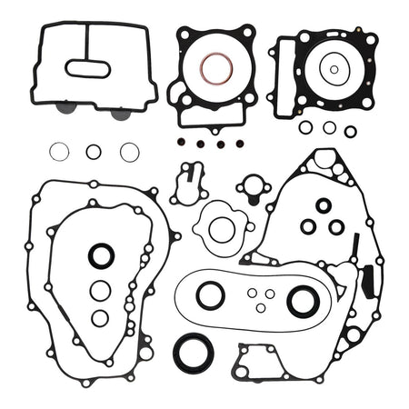 Complete Gasket Set with Oil Seals 8110050