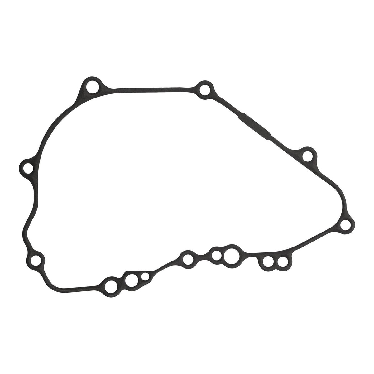 Ignition Cover Gasket Kit 816356