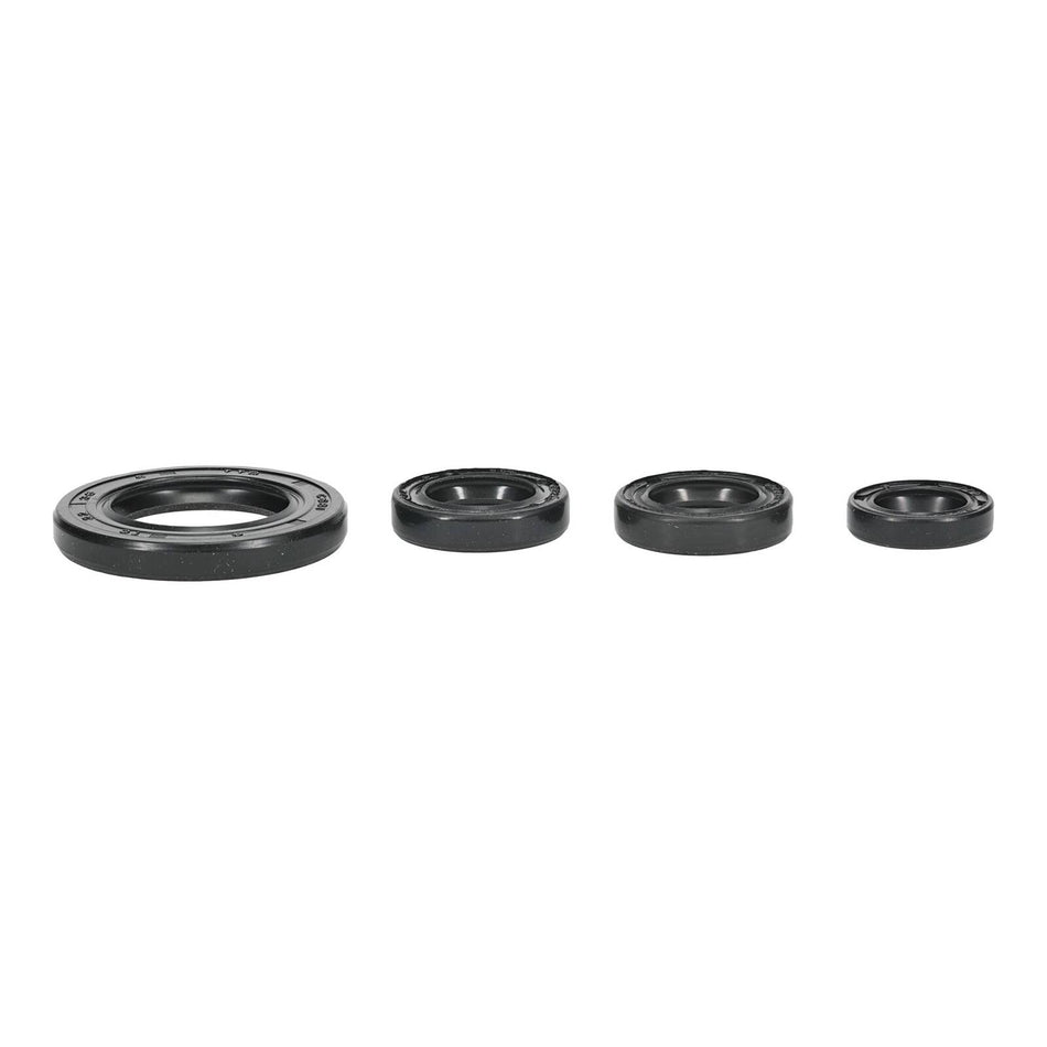 Oil Seal Kit 822395