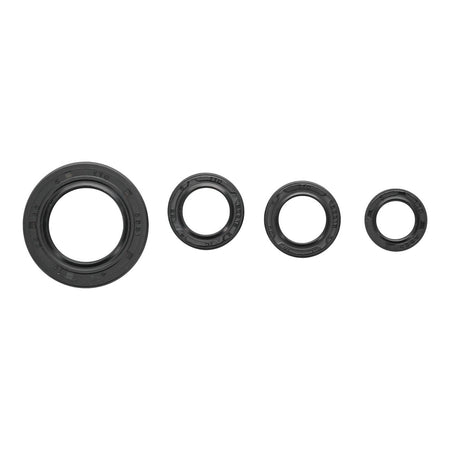 Oil Seal Kit 822395