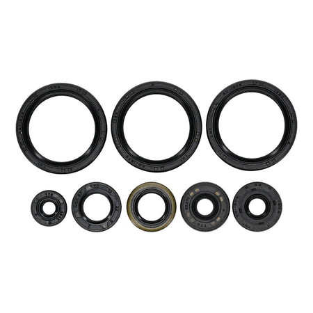Oil Seal Kit 822403