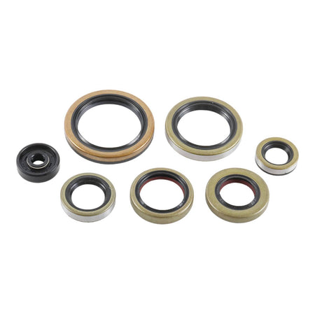 Oil Seal Kit 822976