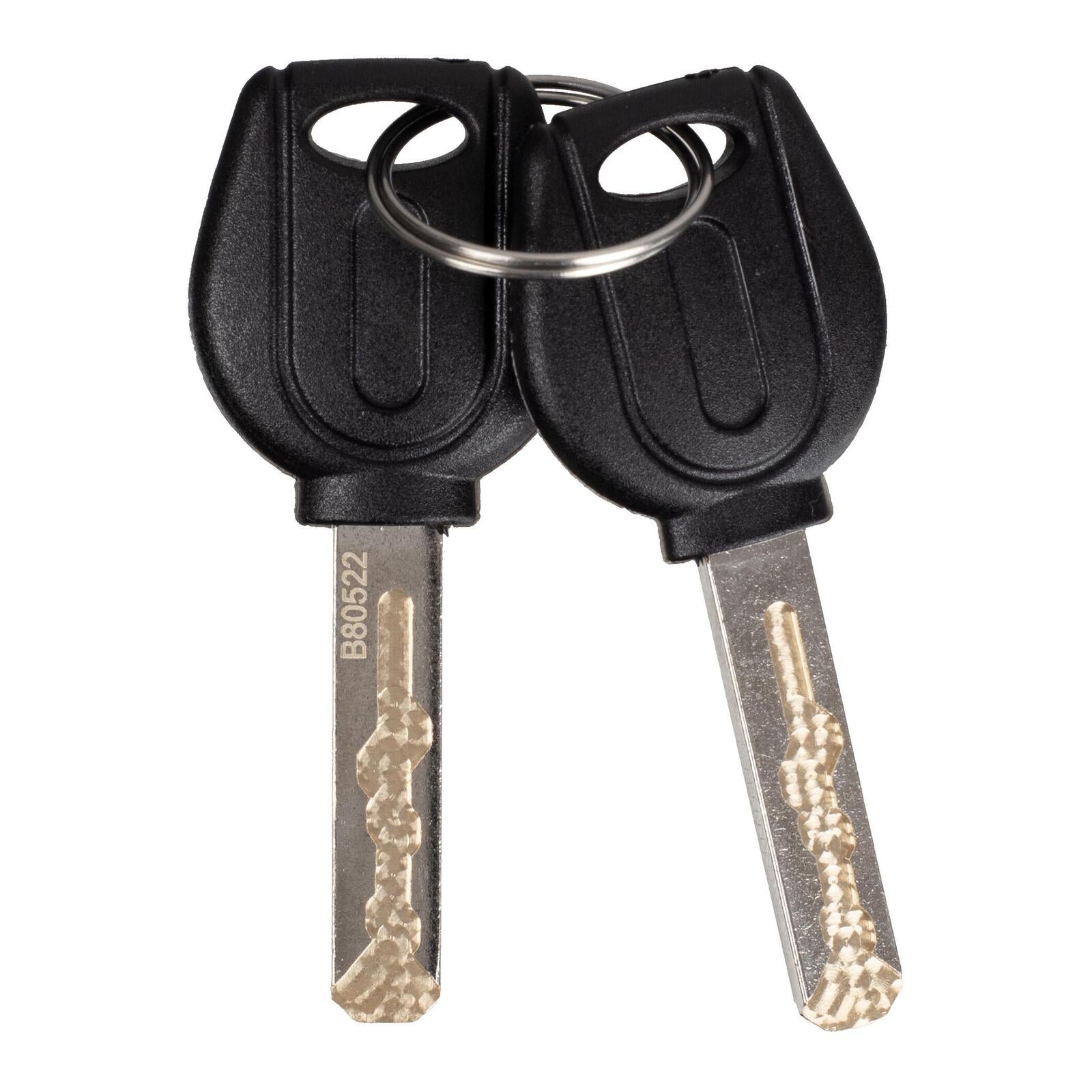 WMP Disc Lock Alarm Type 6mm Pin With Reminder